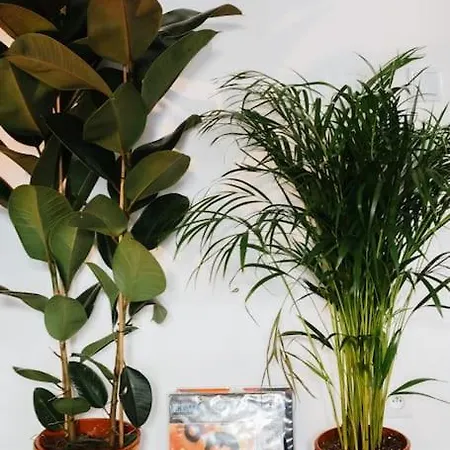 Joli Studio Oberkamph Apartment Paris
